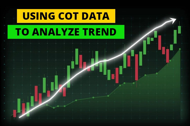 نحوه استفاده از داده‌های COT |2FX